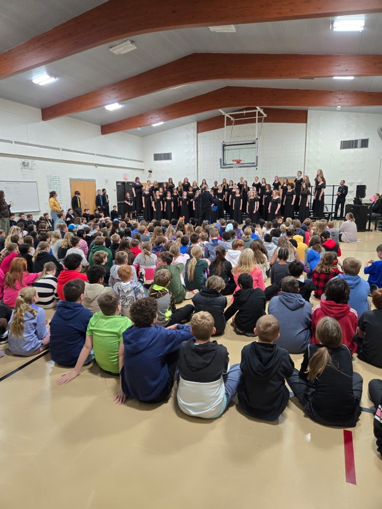 audience enjoying the show