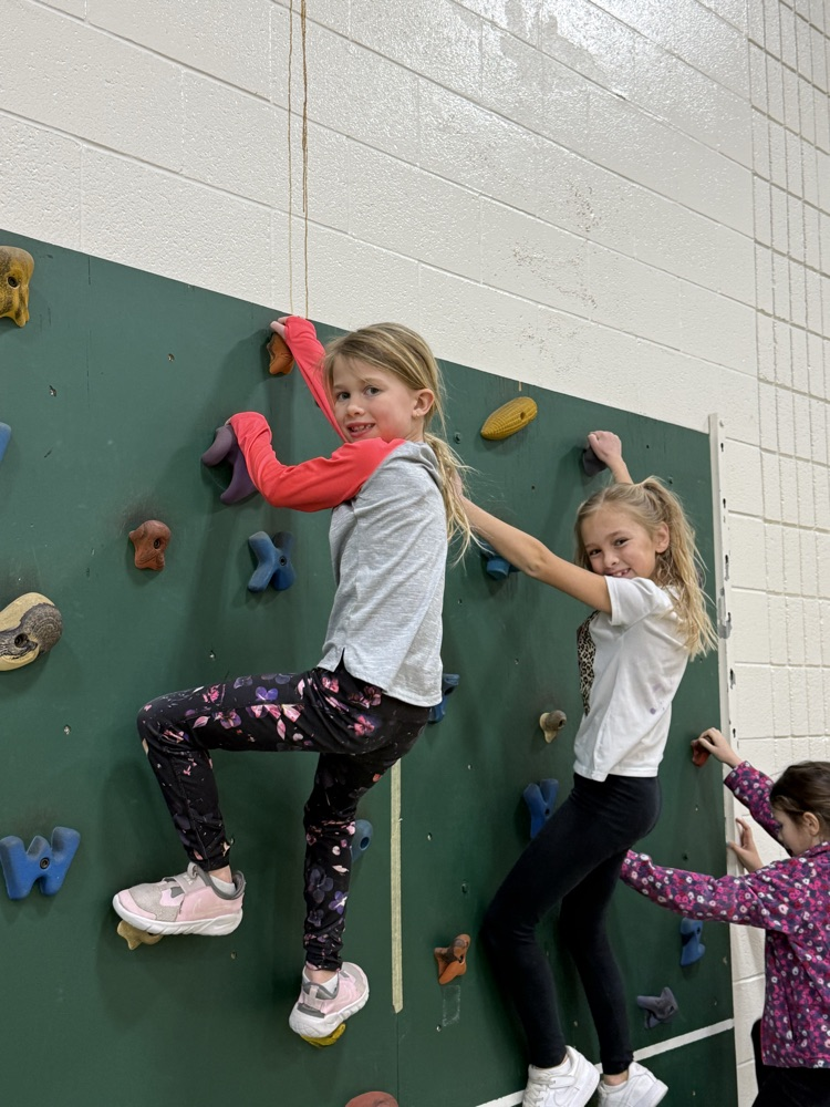 Students on rock wall in PE