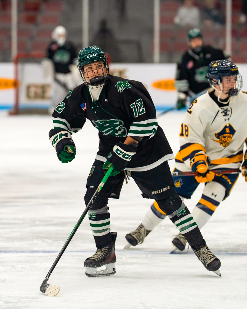 Hockey player skating