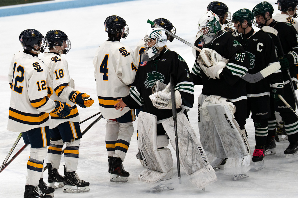 Hockey players shaking hands