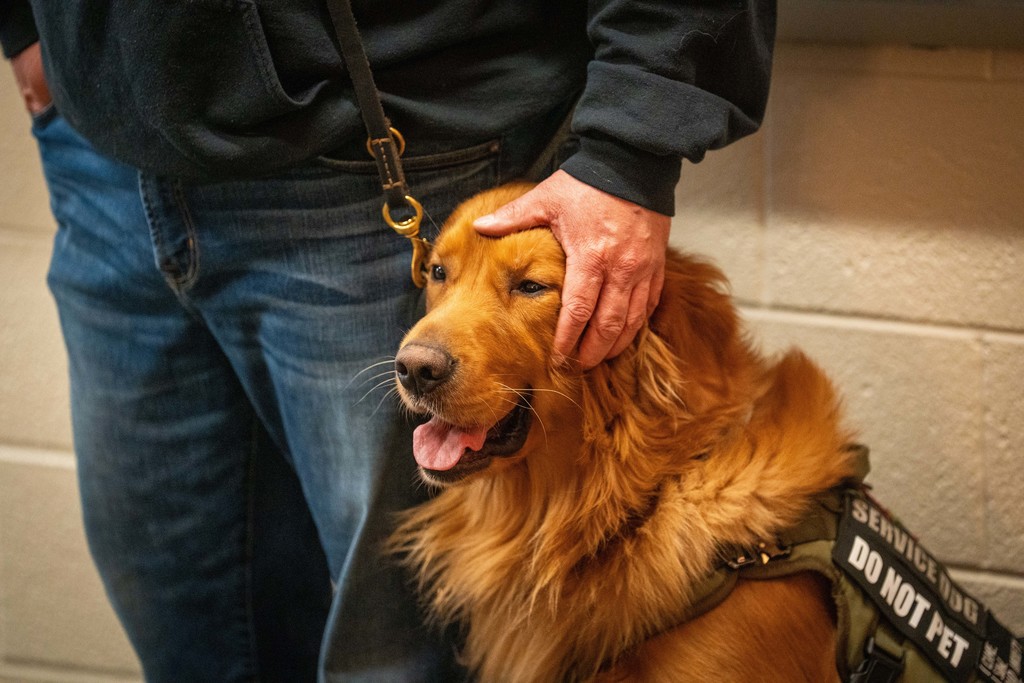 Dad with service dog
