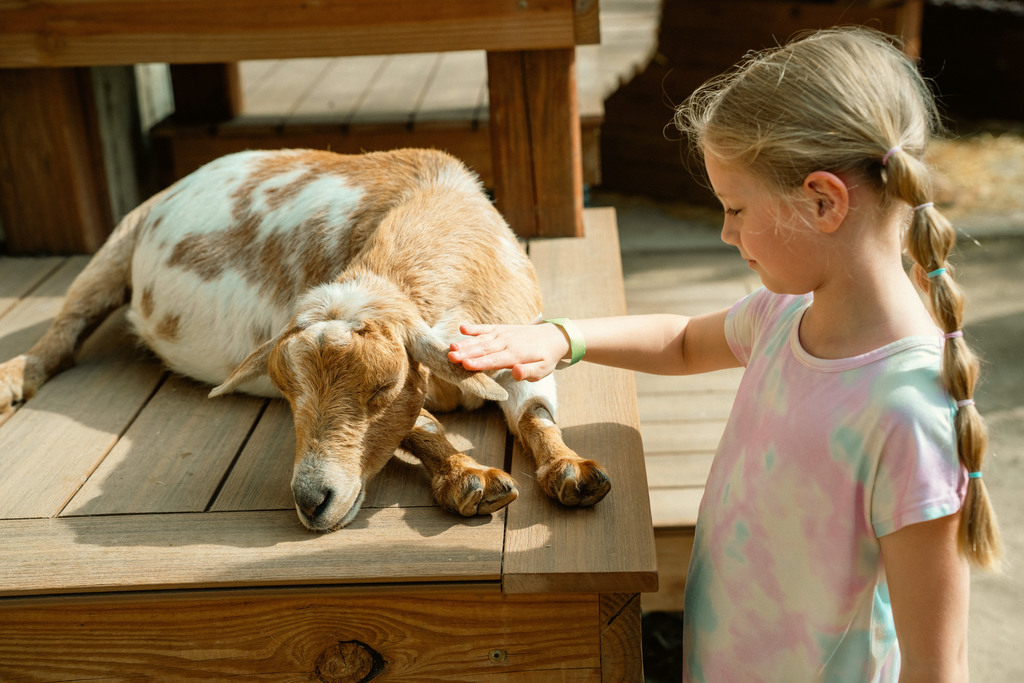 Bursley student petting goat