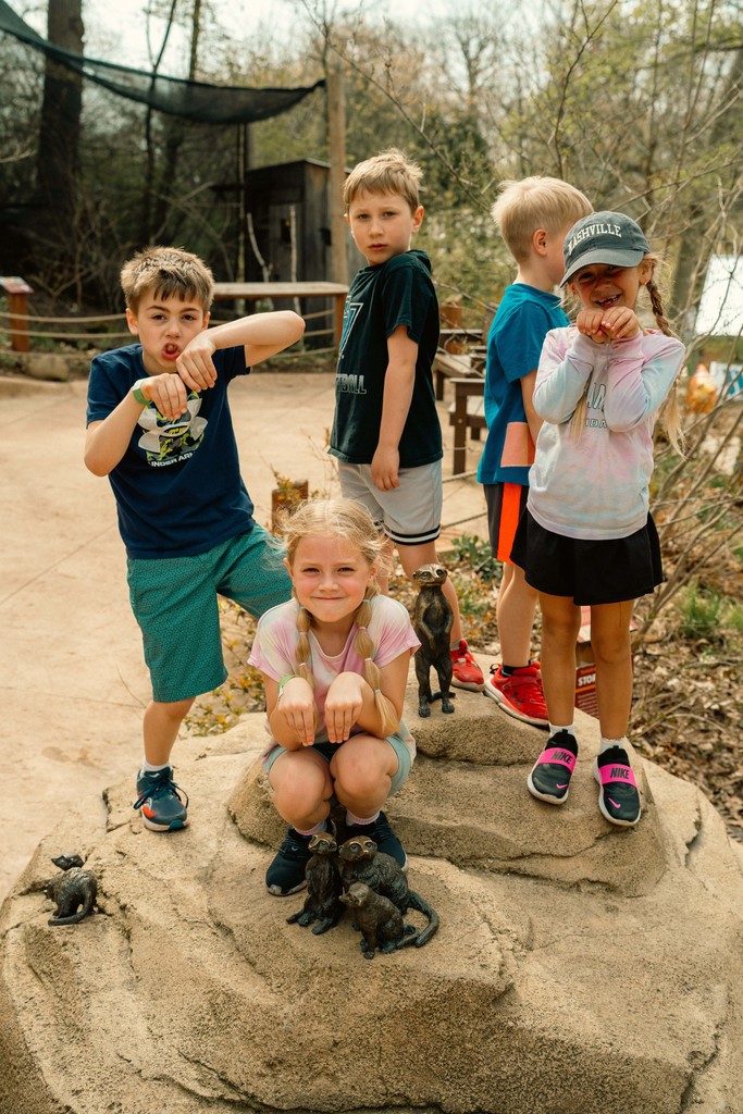 Bursley students pretending to be meerkats