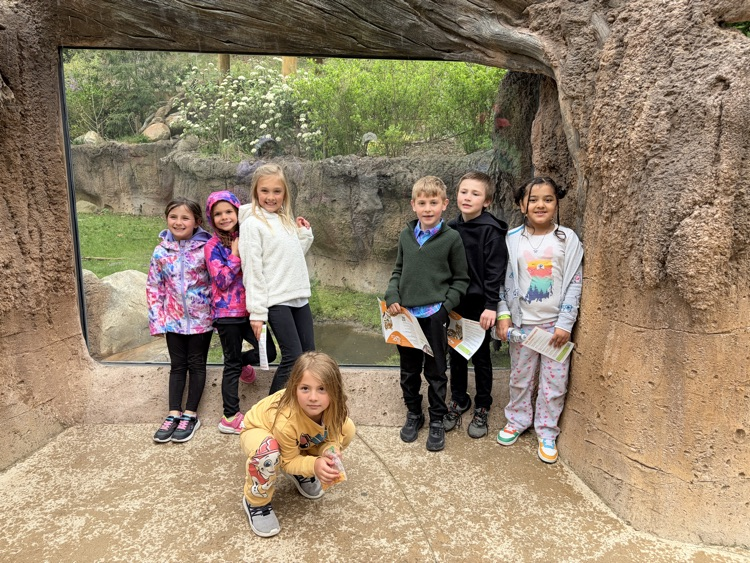 students at the zoo