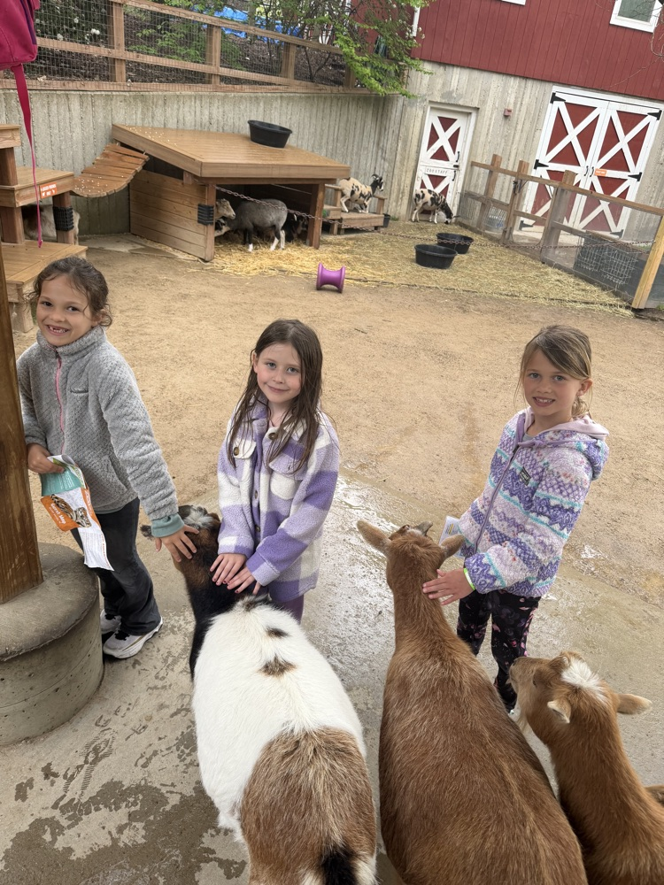 students at the zoo