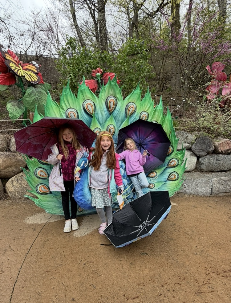 students at the zoo