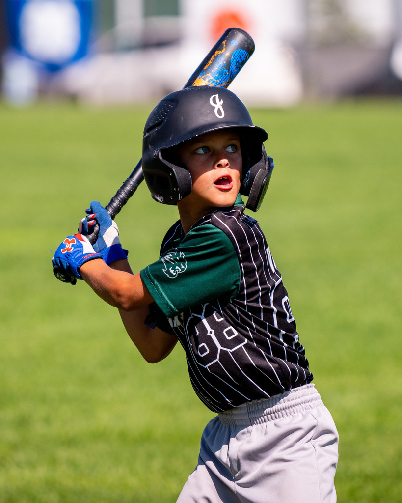 Jenison student at bat