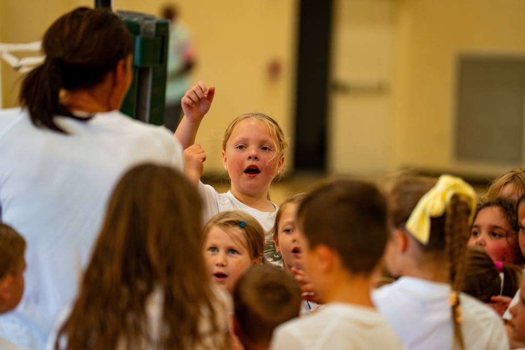 Volleyball players cheering