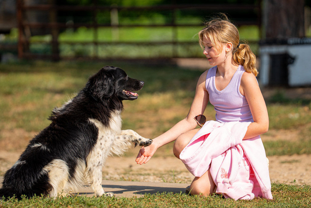 JIA student shaking with dog