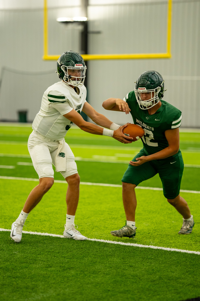 Quarterback handing off