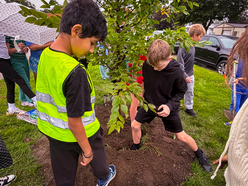 Kids at Bursley planting a tree, one in a yellow vest, another bending over the tree.