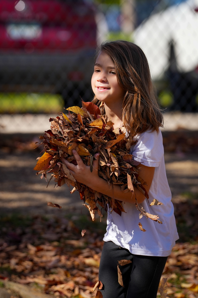 A young girl with brown hair holds a bundle of leaves, smiling and standing on a playground.
