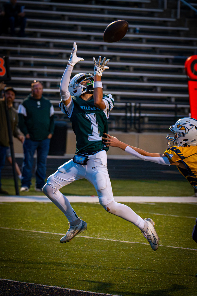 Player number 1 catches the ball in midair. A player in a yellow jersey tries to block the catch.