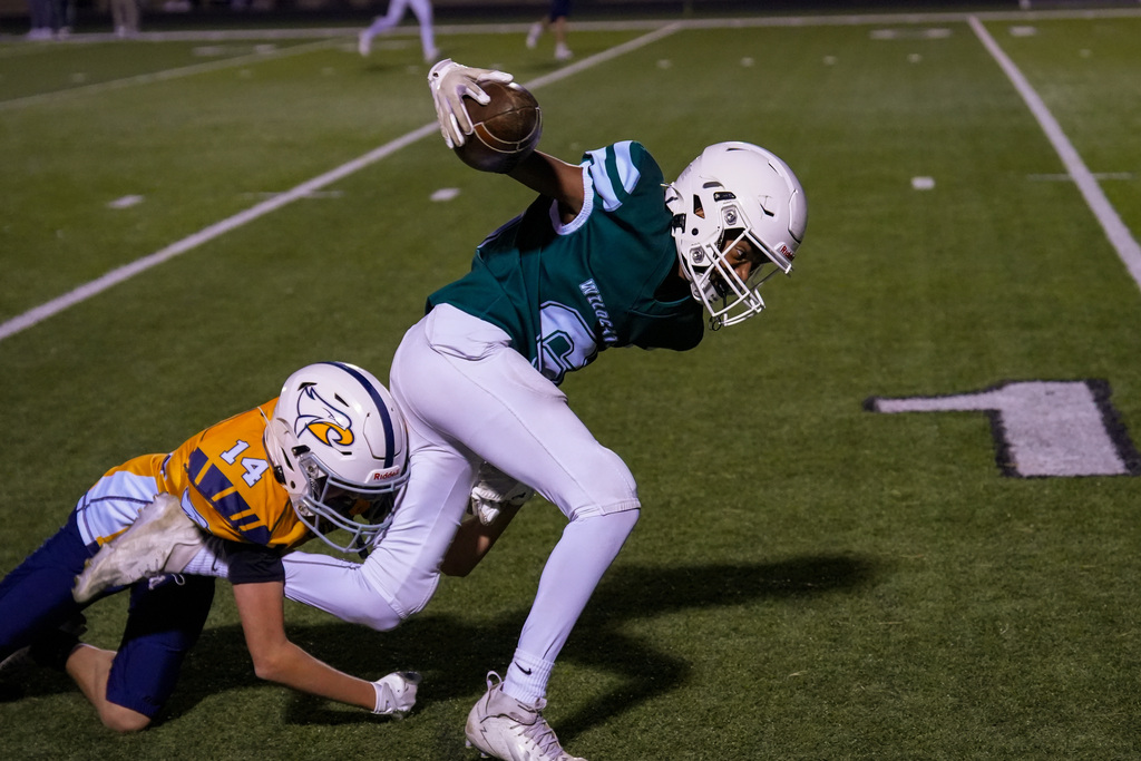 Two football players on a field. One player catches a ball while airborne, while another player slides to tackle.