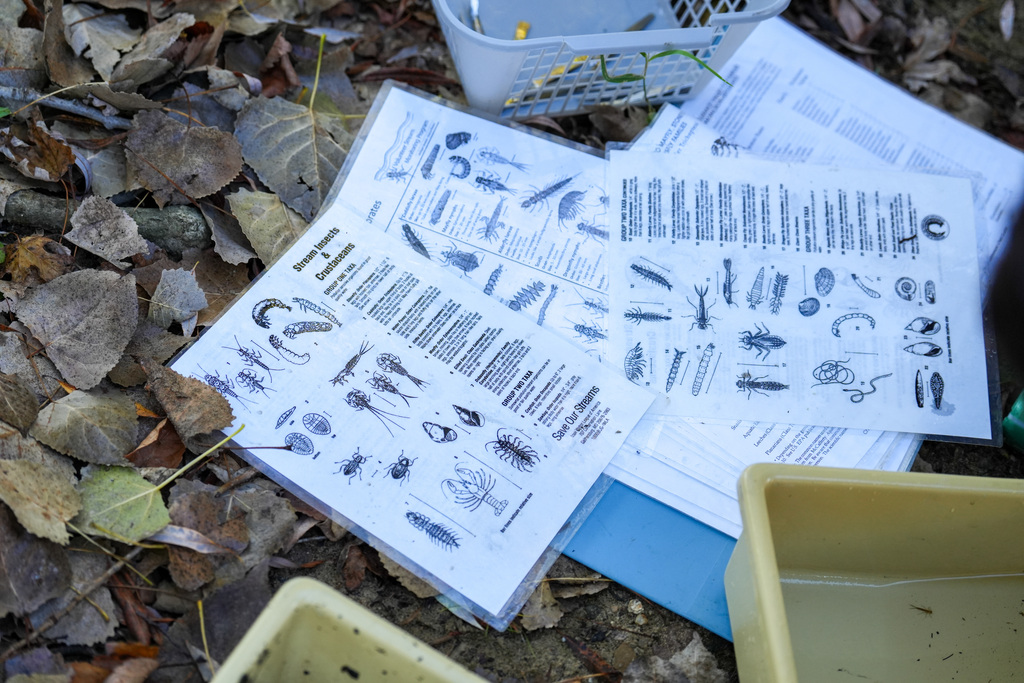 Papers with drawings and writing on them, next to two containers of water, on a pile of dried leaves.