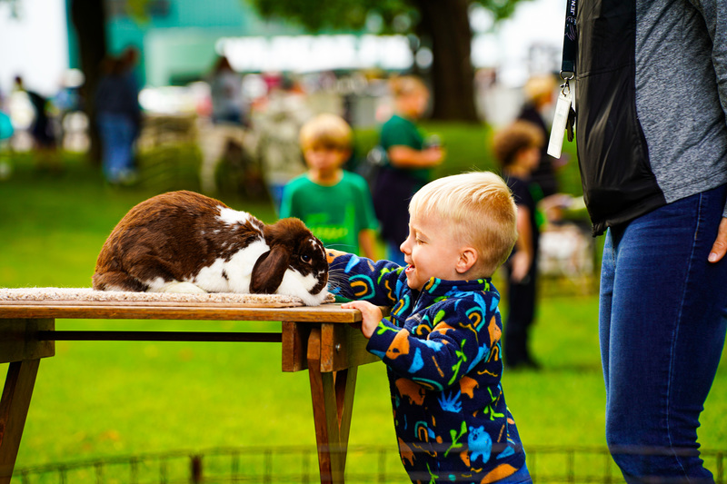 Child with rabbit