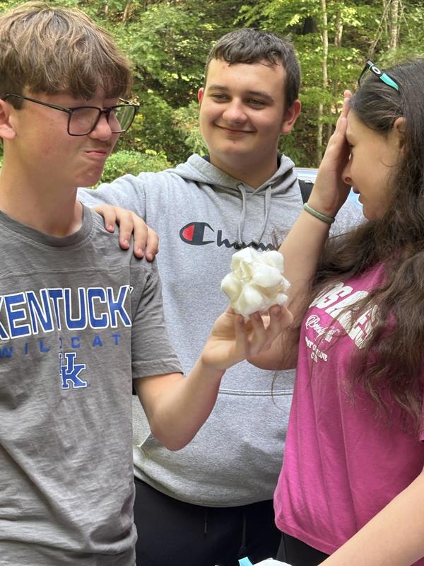 egg