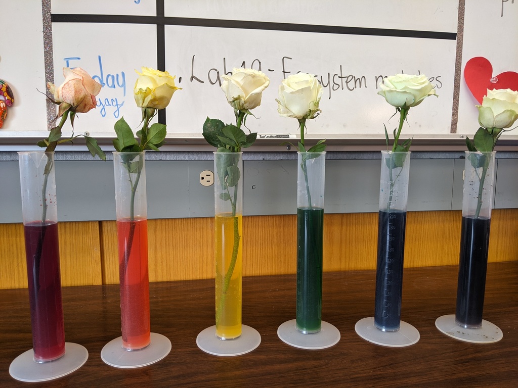 7.2 science