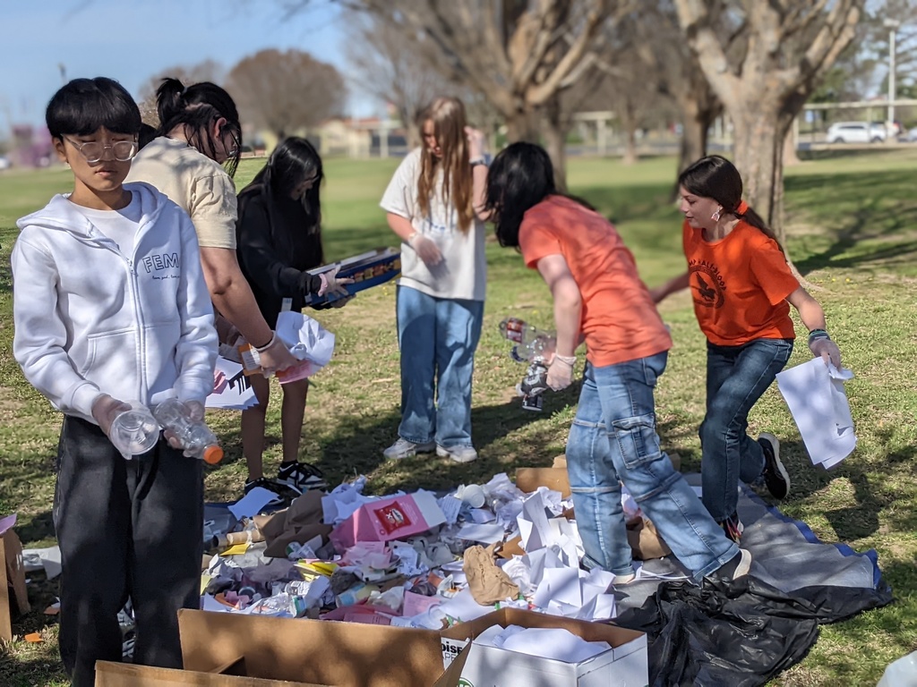recycling - sorting