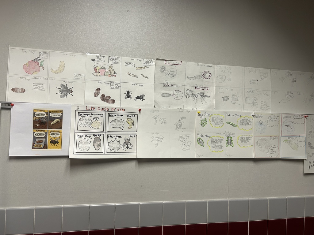 Picture of student work - comic strips