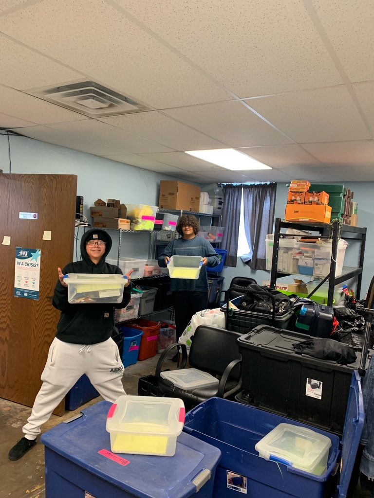 students organizing tubs