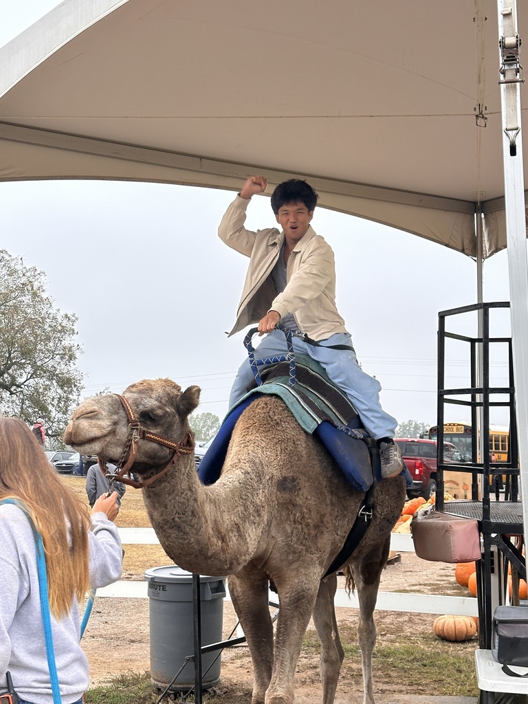 student riding a camel