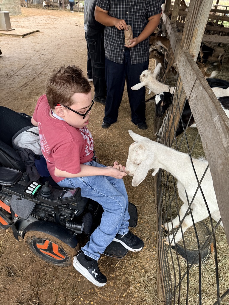 student feeding a goat 