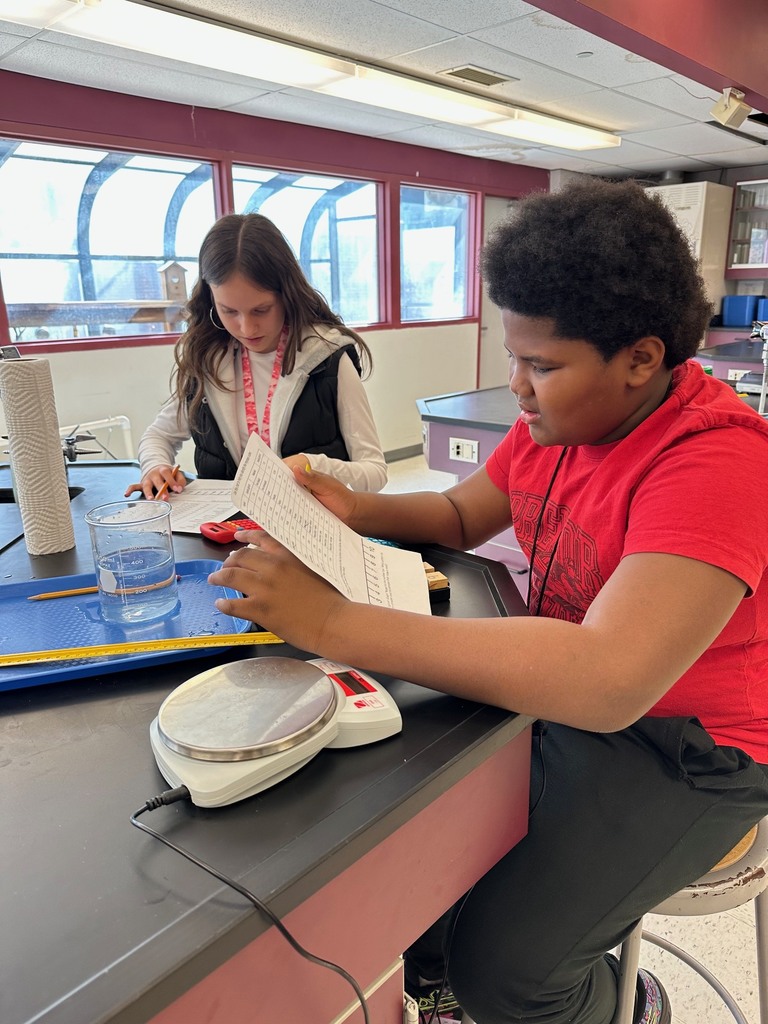 Density Mystery Cubes Lab