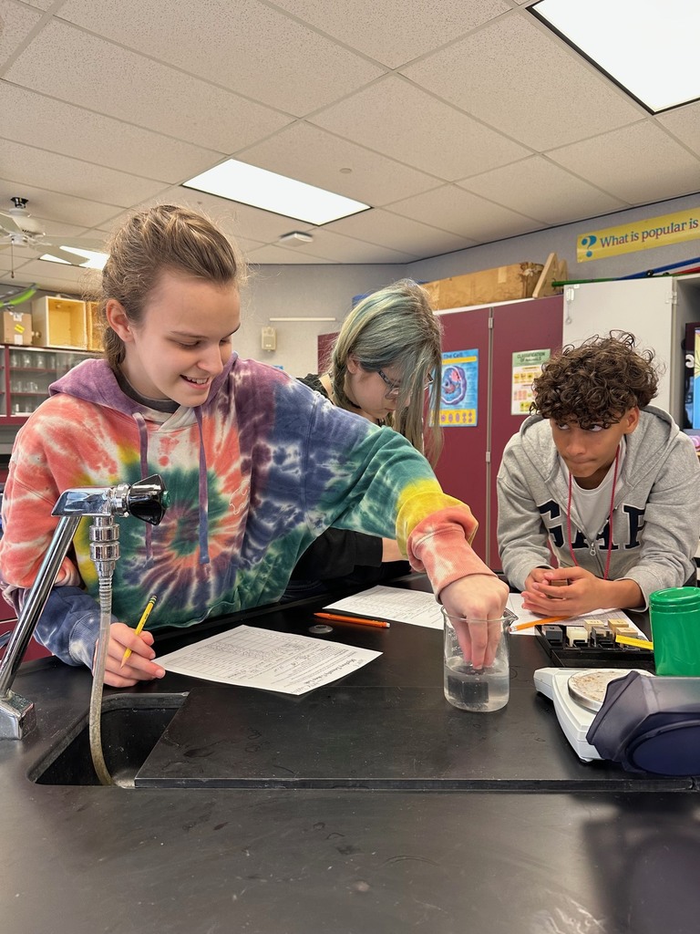 Density Mystery Cubes Lab