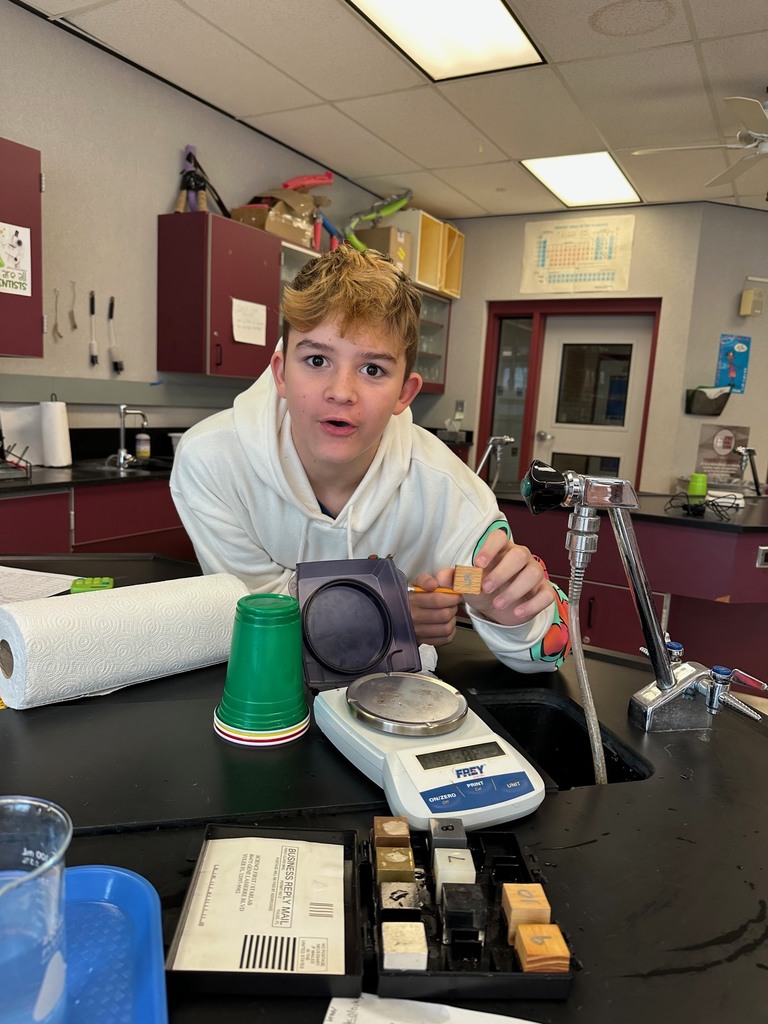 Density Mystery Cubes Lab