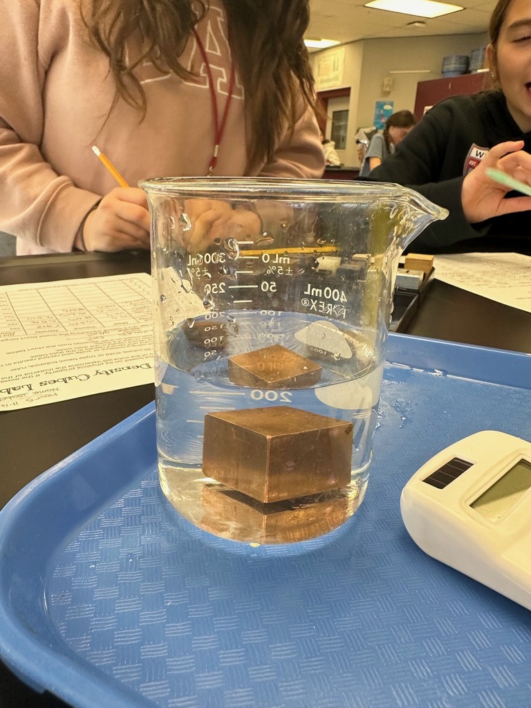 Density Mystery Cubes Lab