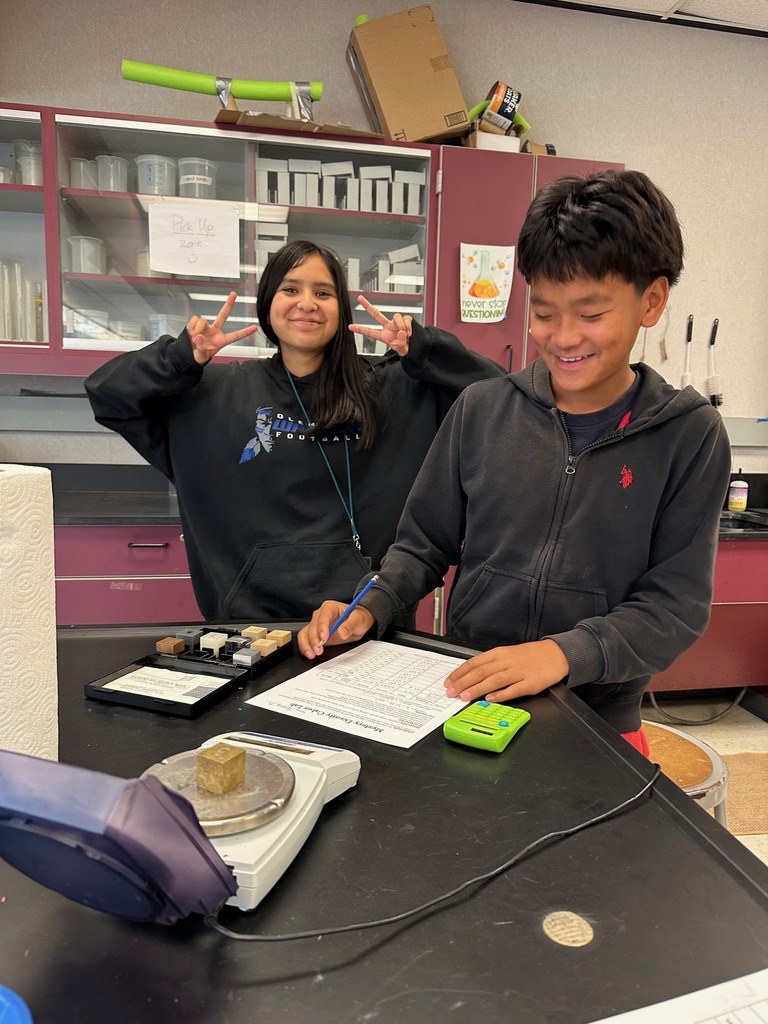 Density Mystery Cubes Lab