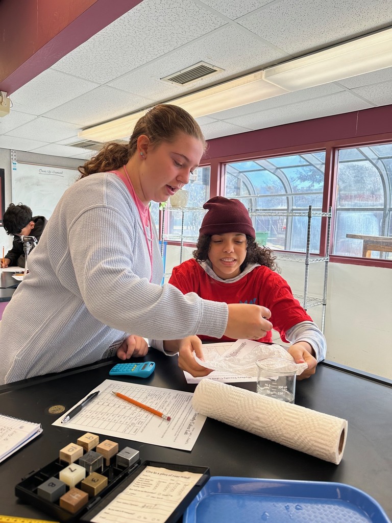 Density Mystery Cubes Lab
