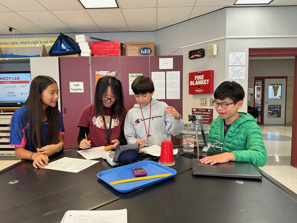 Density Mystery Cubes Lab