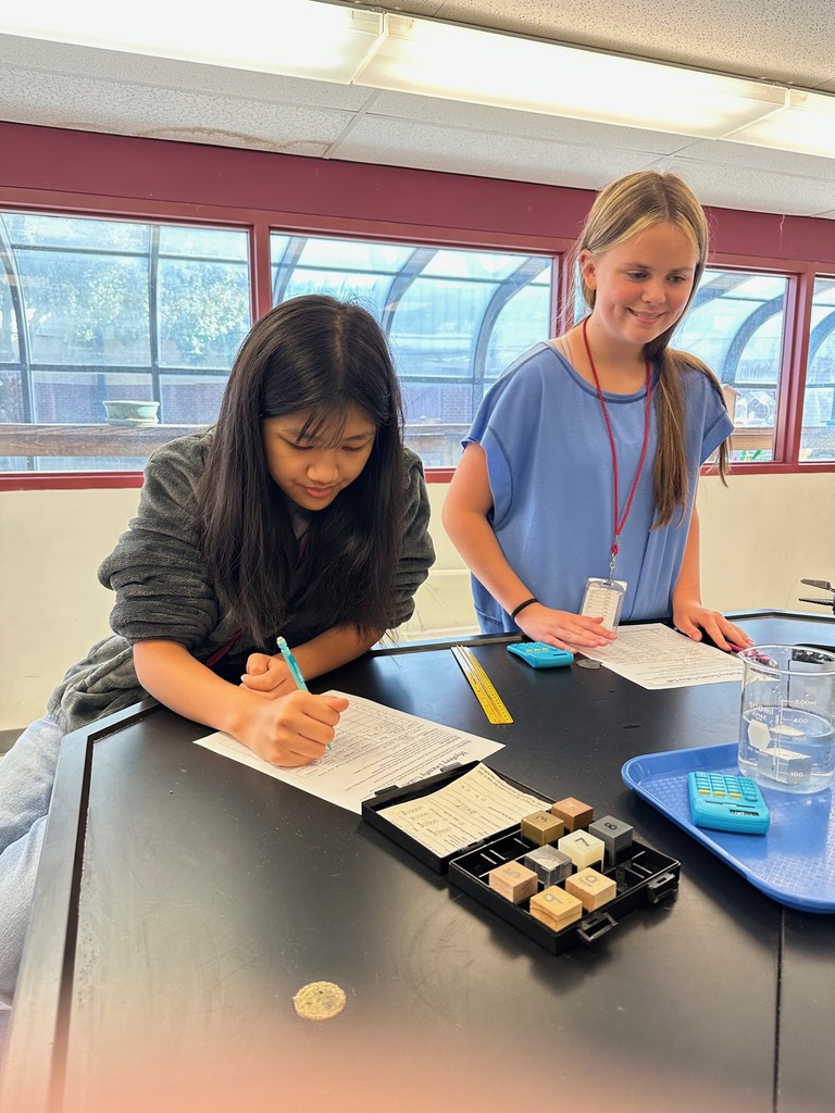 Density Mystery Cubes Lab