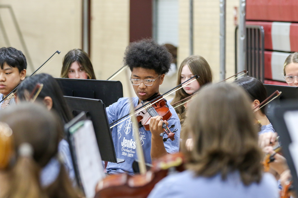 boy plays the violin