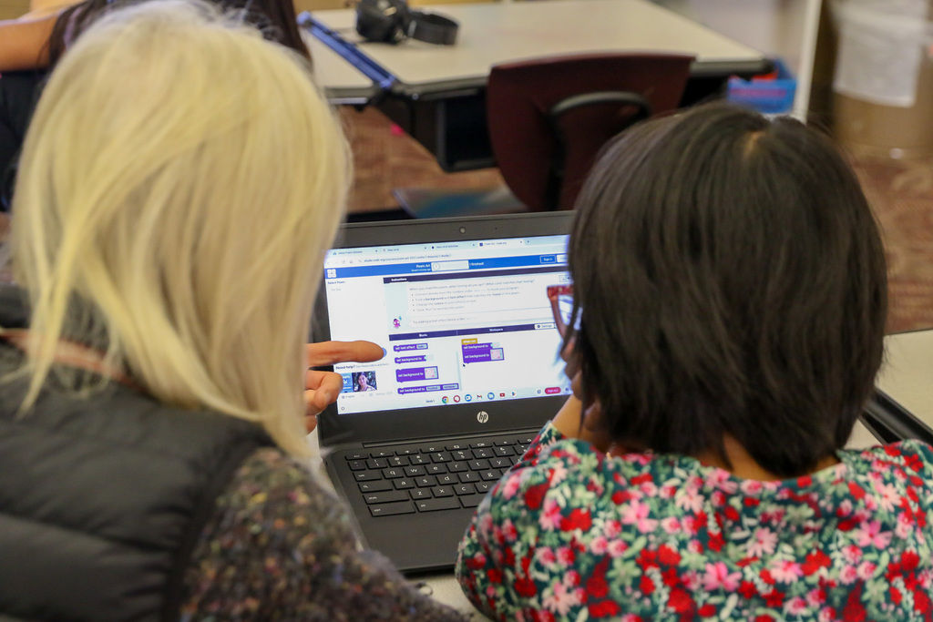photo of the computer screen through between the student ad teachers head