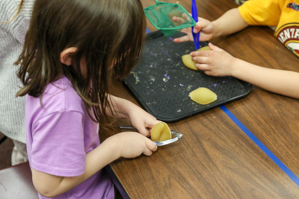 student using a nut cracker to crack a pasta shell
