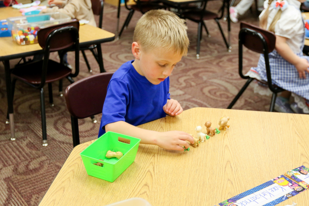 a student making patterns with little toys