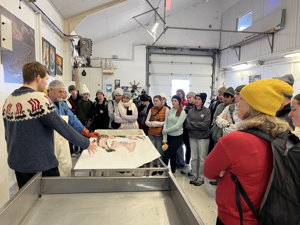 Students watching a demonstration of men flaying a fish.
