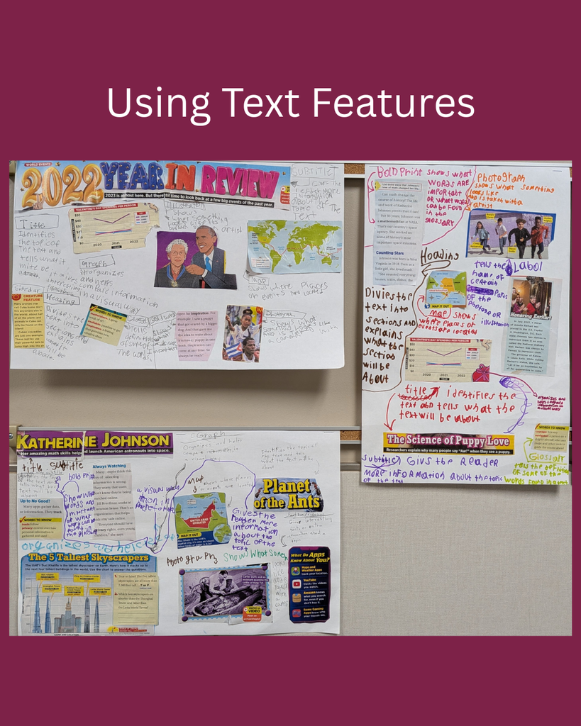 Picture of students work displayed in the hallway.  Text says "Using Text Features"