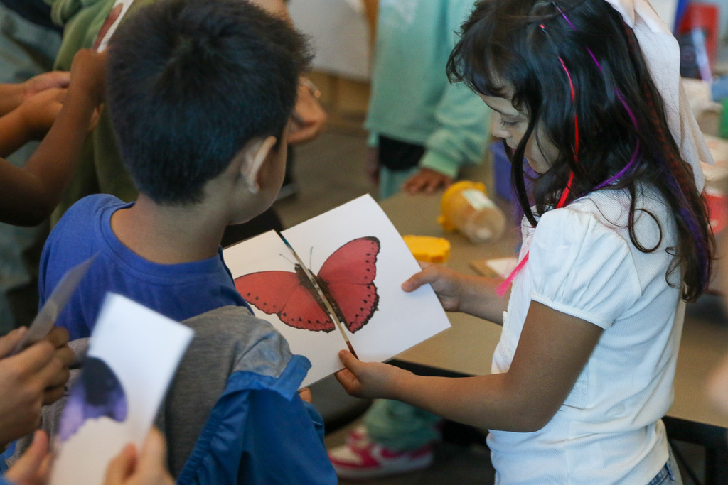 two students discovering they have matching halves of a butterfly