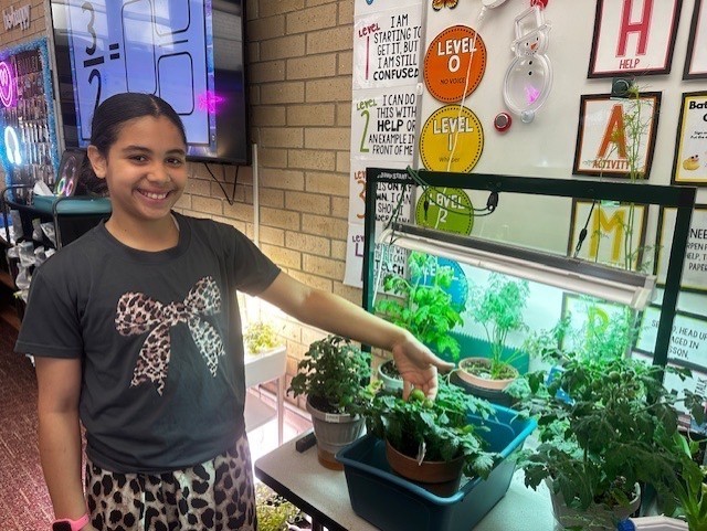 student with future tomato plants for garden club