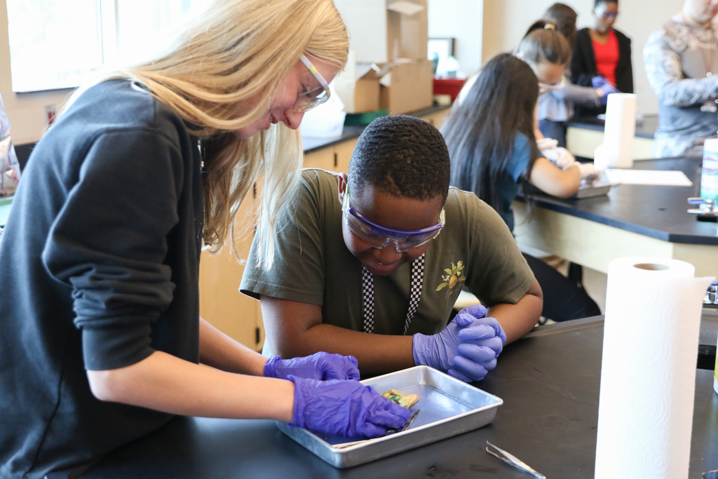 Students looking closely at a frogs organs.