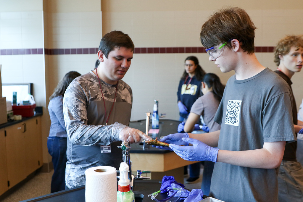 a student letting his peer touch the frog.