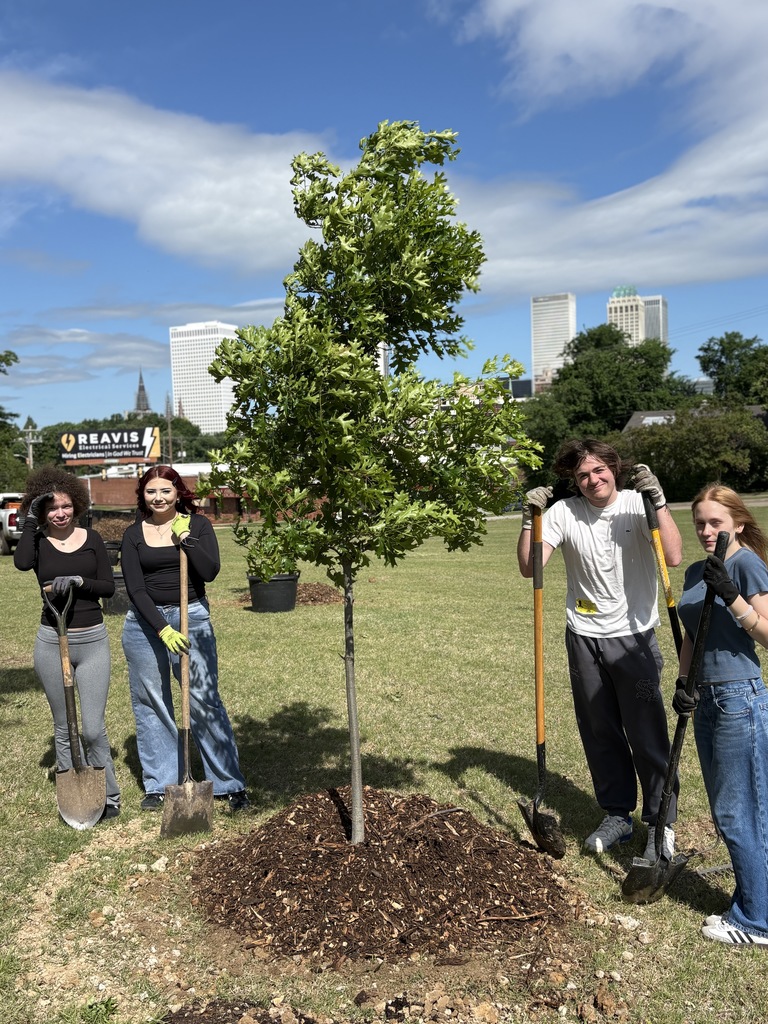 A group of 4 students around a freshly planted tree