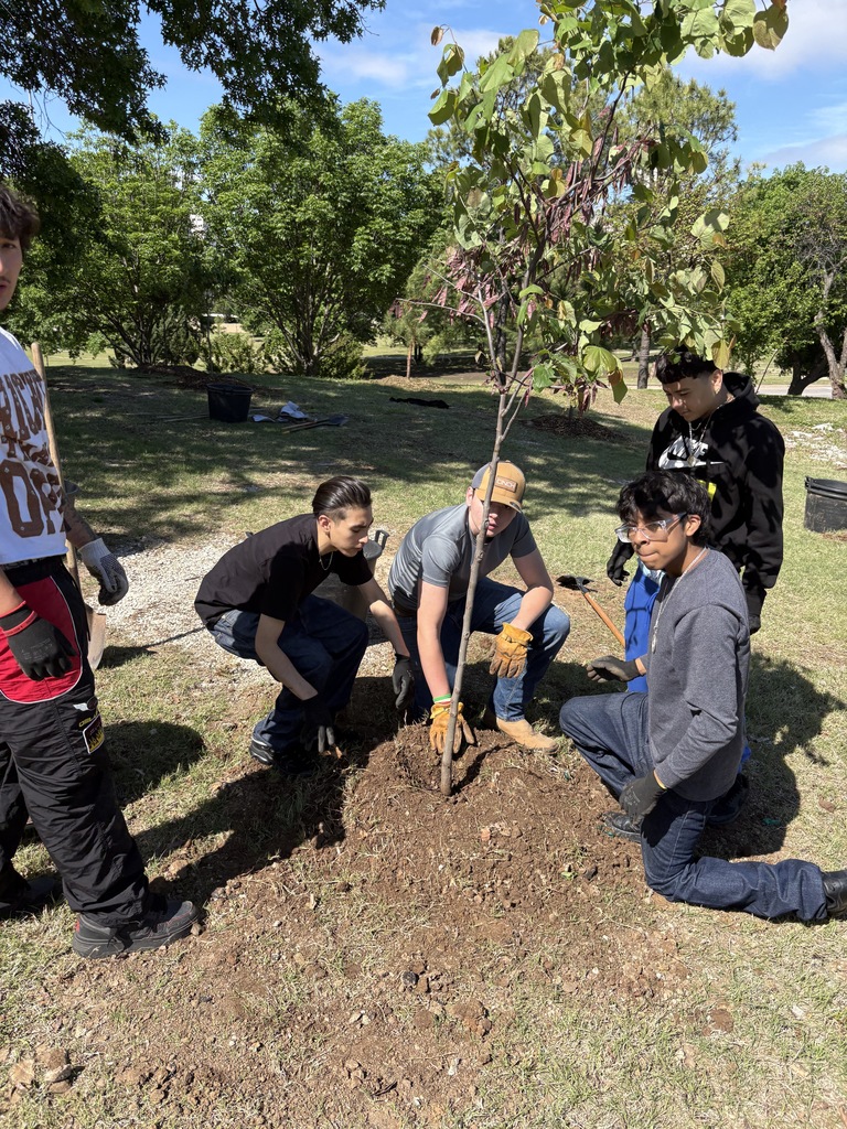 A group of students planting a tree