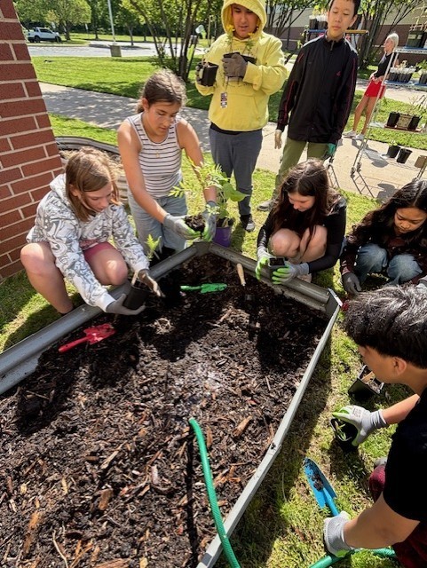students planting seedlings 