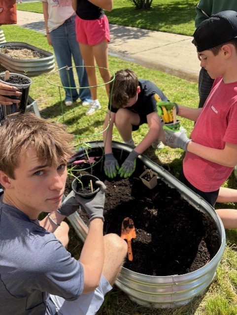 students planting seedlings 