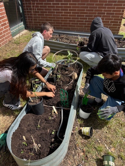 students planting seedlings 
